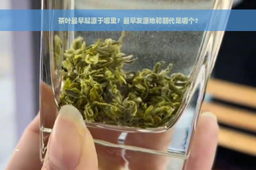 茶叶最早起源于哪里？最早发源地和朝代是哪个？