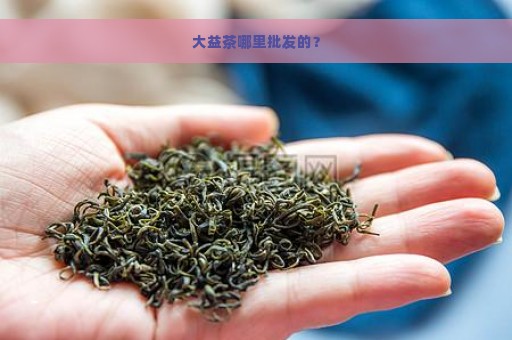 大益茶哪里批发的？