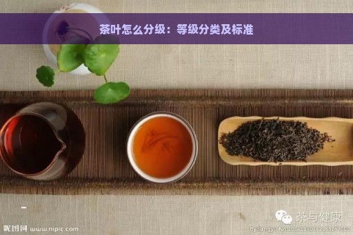 茶叶怎么分级：等级分类及标准