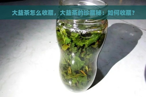 大益茶怎么收藏，大益茶的珍藏秘：如何收藏？