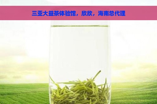 三亚大益茶体验馆，欣欣，海南总代理