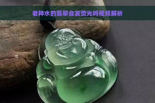 老种水的翡翠会发荧光吗视频解析