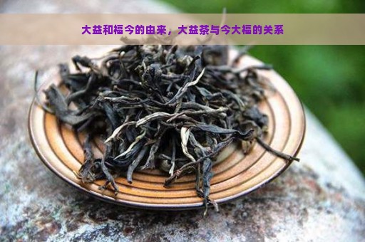 大益和福今的由来，大益茶与今大福的关系