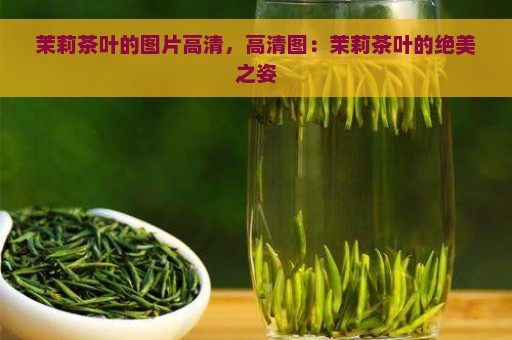 茉莉茶叶的图片高清，高清图：茉莉茶叶的绝美之姿