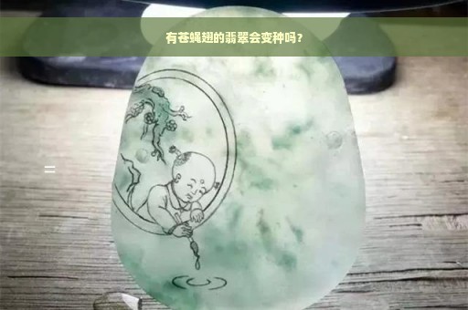 有苍蝇翅的翡翠会变种吗？