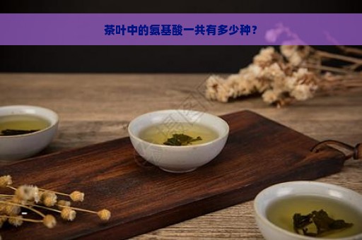 茶叶中的氨基酸一共有多少种？