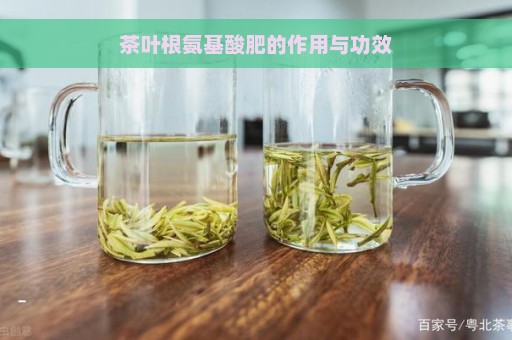 茶叶根氨基酸肥的作用与功效