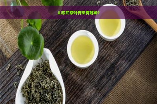 山东的茶叶种类有哪些？