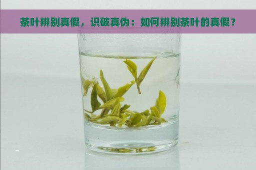 茶叶辨别真假，识破真伪：如何辨别茶叶的真假？