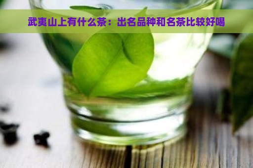 武夷山上有什么茶：出名品种和名茶比较好喝