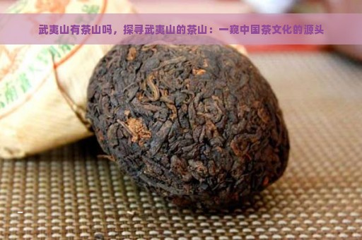 武夷山有茶山吗，探寻武夷山的茶山：一窥中国茶文化的源头