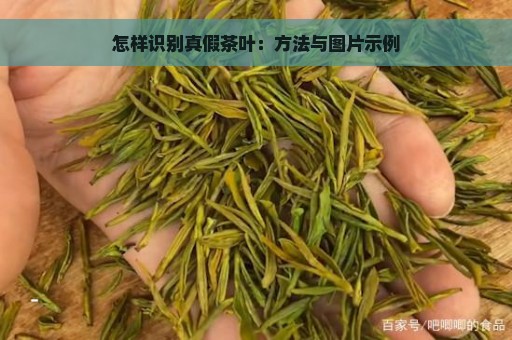 怎样识别真假茶叶：方法与图片示例