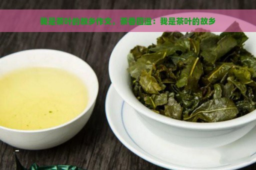 我是茶叶的故乡作文，茶香四溢：我是茶叶的故乡