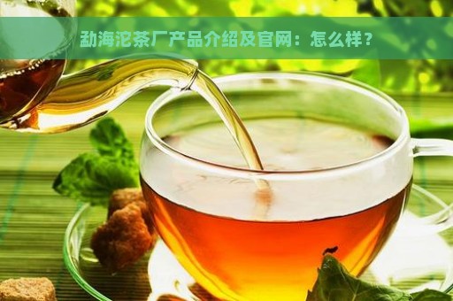 勐海沱茶厂产品介绍及官网：怎么样？