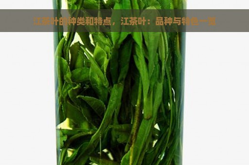 江茶叶的种类和特点，江茶叶：品种与特色一览