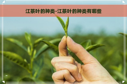 江茶叶的种类-江茶叶的种类有哪些