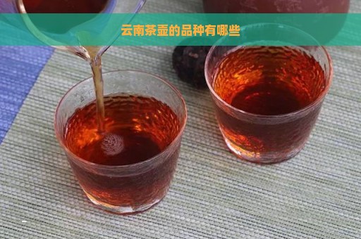 云南茶壶的品种有哪些