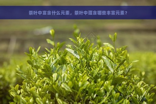 茶叶中富含什么元素，茶叶中蕴含哪些丰富元素？