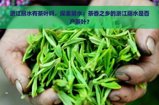 浙江丽水有茶叶吗，探索丽水：茶香之乡的浙江丽水是否产茶叶？