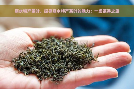 丽水特产茶叶，探寻丽水特产茶叶的魅力：一场茶香之旅