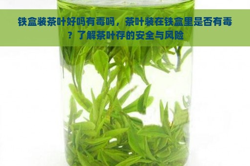 铁盒装茶叶好吗有毒吗，茶叶装在铁盒里是否有毒？了解茶叶存的安全与风险