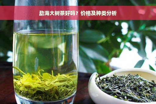 勐海大树茶好吗？价格及种类分析