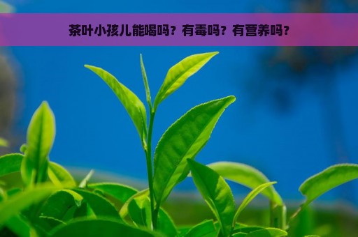 茶叶小孩儿能喝吗？有毒吗？有营养吗？