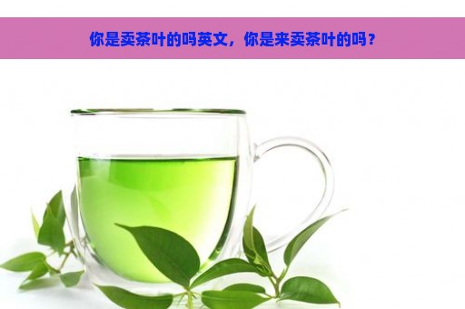 你是卖茶叶的吗英文，你是来卖茶叶的吗？