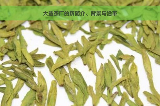 大益茶厂的历简介、背景与沿革