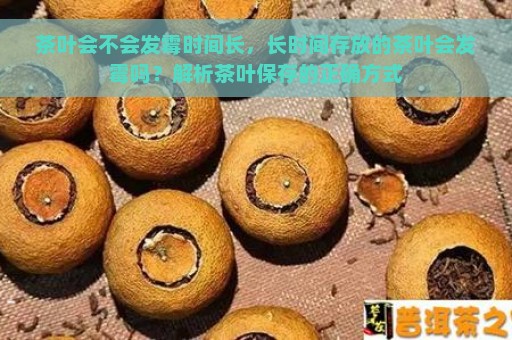 茶叶会不会发霉时间长，长时间存放的茶叶会发霉吗？解析茶叶保存的正确方式