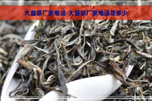 大益茶厂家电话-大益茶厂家电话是多少