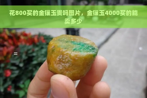 花800买的金镶玉贵吗图片，金镶玉4000买的能卖多少