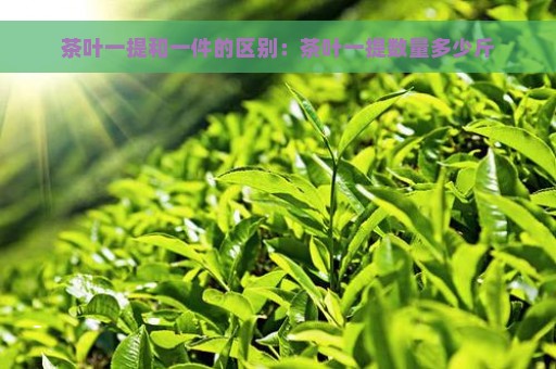 茶叶一提和一件的区别：茶叶一提数量多少斤