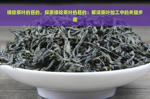 揉捻茶叶的目的，探索揉捻茶叶的目的：解读茶叶加工中的关键步骤