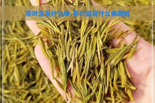 茶叶盒是什么体-茶叶盒是什么体质的