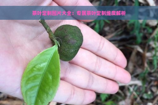 茶叶定制图片大全：专属茶叶定制维度解析