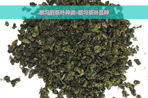 都匀的茶叶种类-都匀茶叶品种