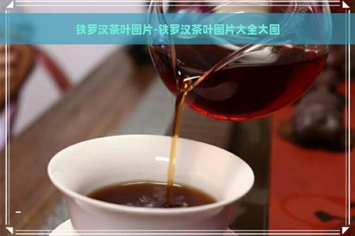 铁罗汉茶叶图片-铁罗汉茶叶图片大全大图