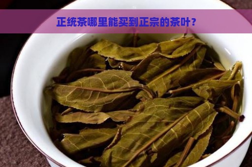 正统茶哪里能买到正宗的茶叶？