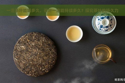 一泡茶叶能喝多久，茶叶一泡能持续多久？探究茶叶的持久力