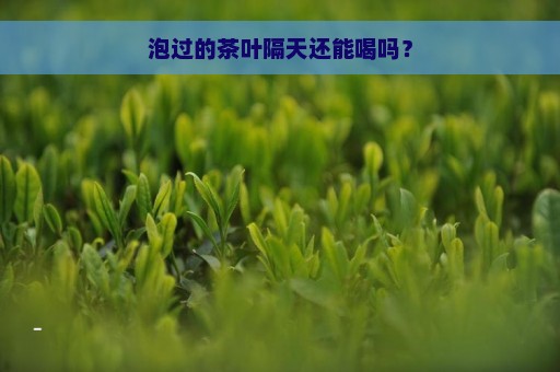 泡过的茶叶隔天还能喝吗？