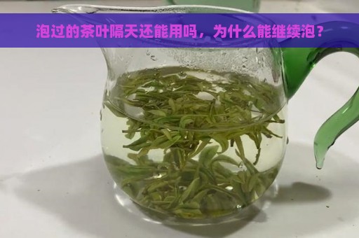 泡过的茶叶隔天还能用吗，为什么能继续泡？