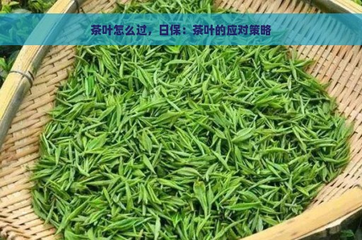 茶叶怎么过，日保：茶叶的应对策略