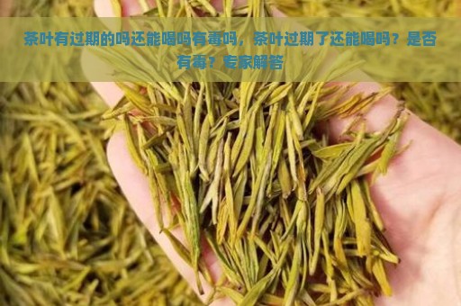 茶叶有过期的吗还能喝吗有毒吗，茶叶过期了还能喝吗？是否有毒？专家解答