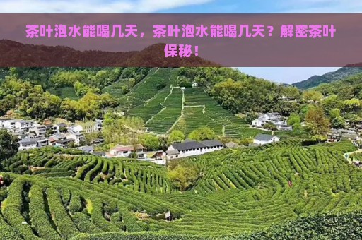 茶叶泡水能喝几天，茶叶泡水能喝几天？解密茶叶保秘！