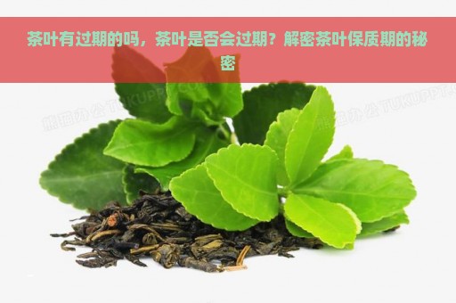 茶叶有过期的吗，茶叶是否会过期？解密茶叶保质期的秘密