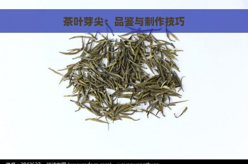 茶叶芽尖：品鉴与制作技巧