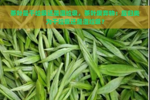 茶叶是干垃圾还是湿垃圾，茶叶废弃物：应归类为干垃圾还是湿垃圾？