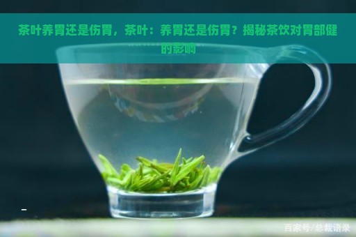 茶叶养胃还是伤胃，茶叶：养胃还是伤胃？揭秘茶饮对胃部健的影响