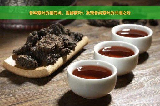 各种茶叶的相同点，揭秘茶叶：发现各类茶叶的共通之处